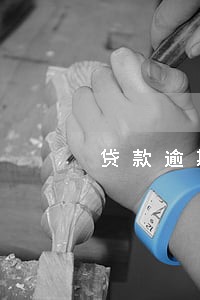 贷款逾期 抵押物处置 贷款逾期 抵押物处置
